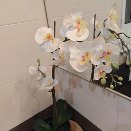 Coastal Charm Ghadira Bay Flat Mellieha