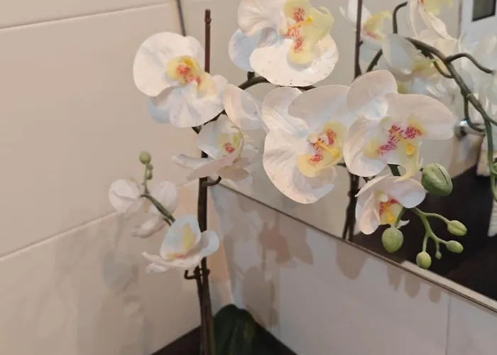 Coastal Charm Ghadira Bay Flat Mellieħa